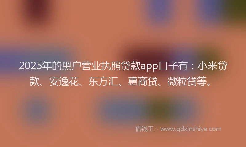 2025年的黑户营业执照贷款app口子有：小米贷款、安逸花、东方汇、惠商贷、微粒贷等。