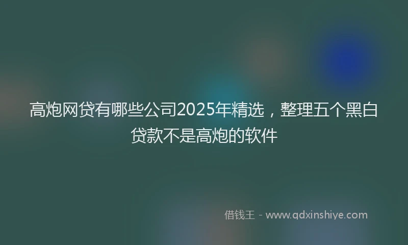 高炮网贷有哪些公司2025年精选，整理五个黑白贷款不是高炮的软件
