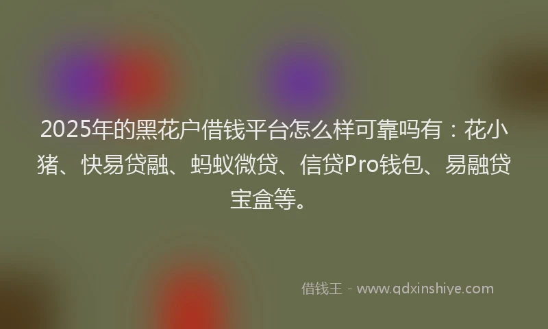 2025年的黑花户借钱平台怎么样可靠吗有：花小猪、快易贷融、蚂蚁微贷、信贷Pro钱包、易融贷宝盒等。