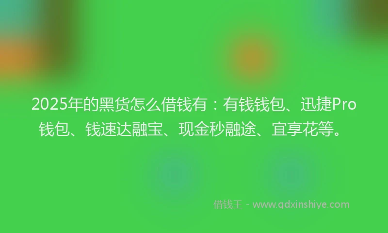 2025年的黑货怎么借钱有:有钱钱包、迅捷Pro钱包、钱速达融宝、现金秒融途、宜享花等。