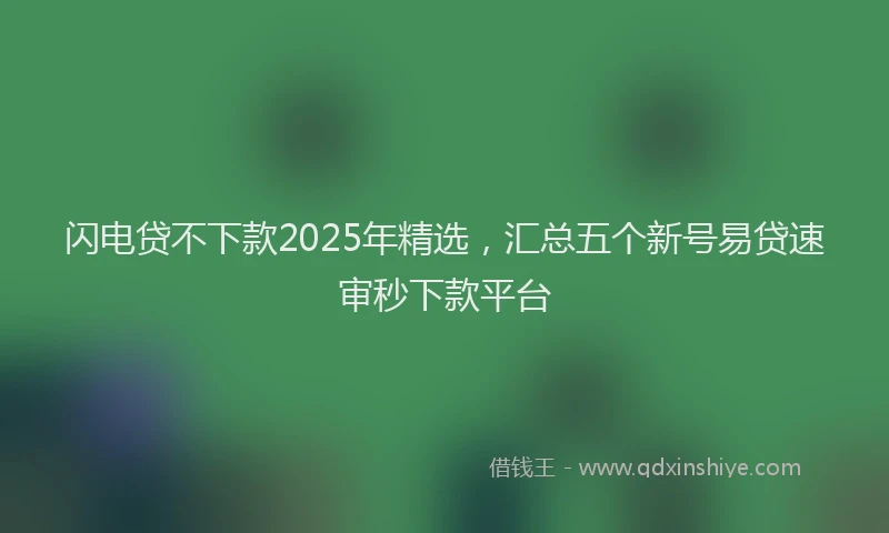 闪电贷不下款2025年精选，汇总五个新号易贷速审秒下款平台