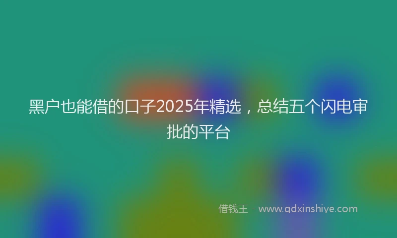 黑户也能借的口子2025年精选，总结五个闪电审批的平台