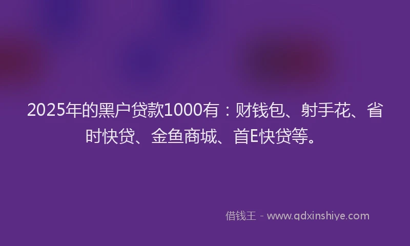 2025年的黑户贷款1000有：财钱包、射手花、省时快贷、金鱼商城、首E快贷等。