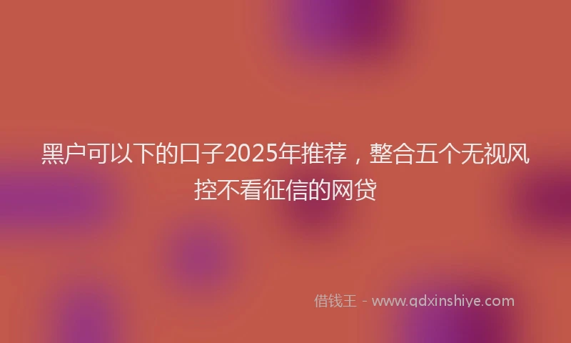 黑户可以下的口子2025年推荐，整合五个无视风控不看征信的网贷