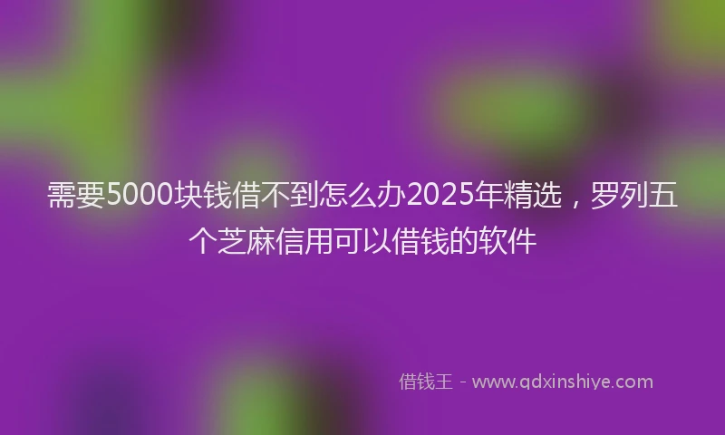 需要5000块钱借不到怎么办2025年精选，罗列五个芝麻信用可以借钱的软件
