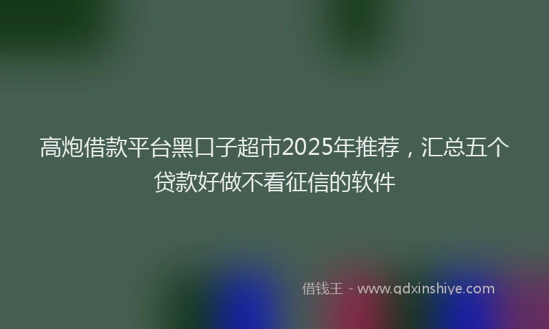 高炮借款平台黑口子超市2025年推荐，汇总五个贷款好做不看征信的软件