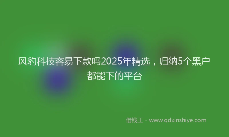 风豹科技容易下款吗2025年精选，归纳5个黑户都能下的平台
