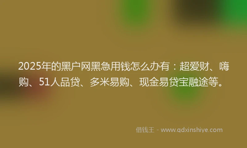 2025年的黑户网黑急用钱怎么办有:超爱财、嗨购、51人品贷、多米易购、现金易贷宝融途等。