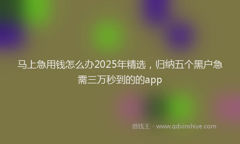 马上急用钱怎么办2025年精选，归纳五个黑户急需三万秒到的的app