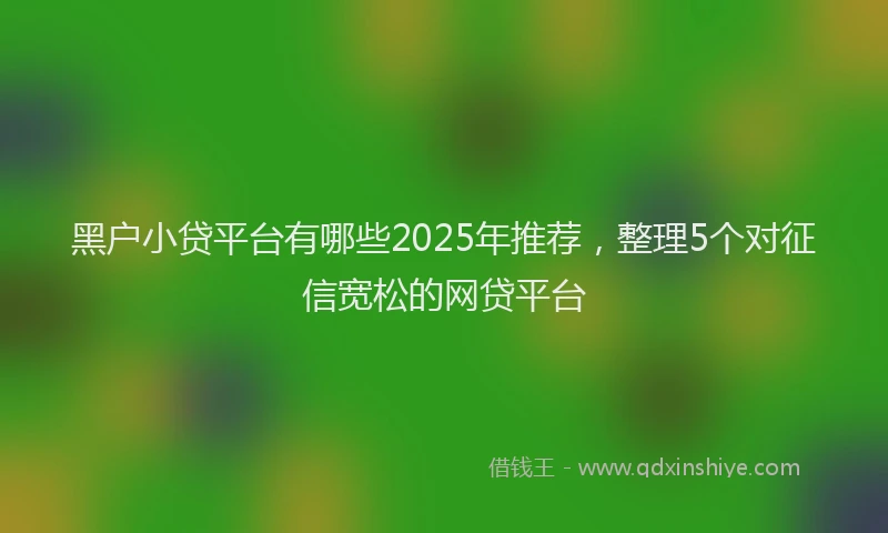 黑户小贷平台有哪些2025年推荐，整理5个对征信宽松的网贷平台
