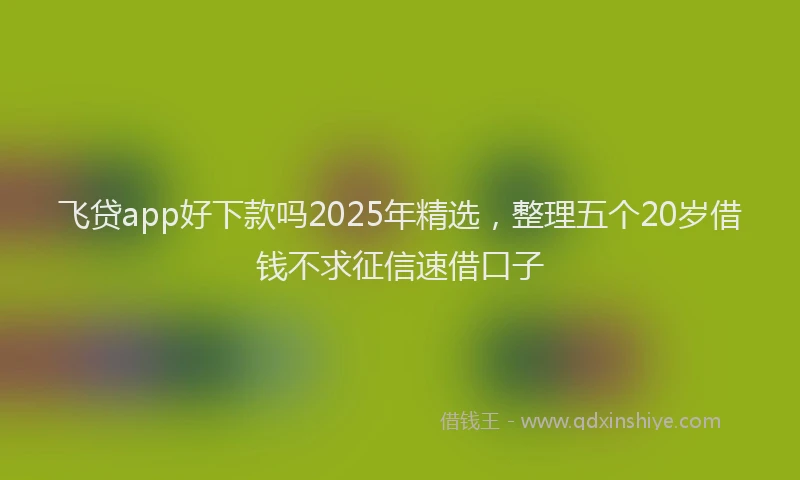 飞贷app好下款吗2025年精选，整理五个20岁借钱不求征信速借口子