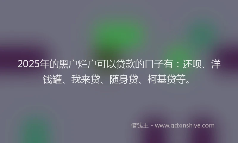2025年的黑户烂户可以贷款的口子有：还呗、洋钱罐、我来贷、随身贷、柯基贷等。