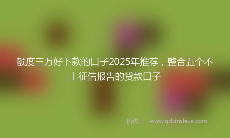 额度三万好下款的口子2025年推荐，整合五个不上征信报告的贷款口子