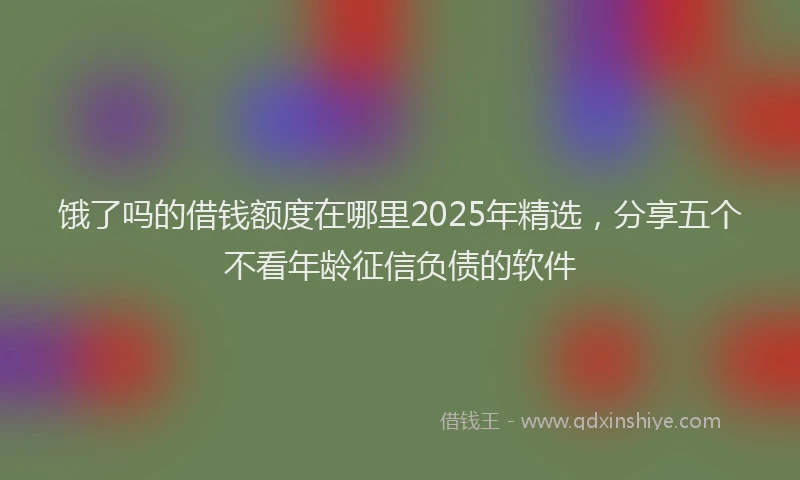 饿了吗的借钱额度在哪里2025年精选，分享五个不看年龄征信负债的软件