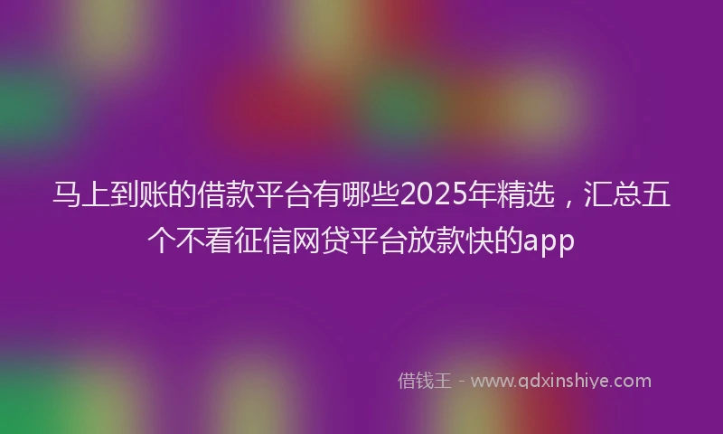 马上到账的借款平台有哪些2025年精选，汇总五个不看征信网贷平台放款快的app