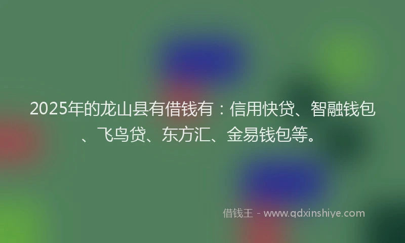 2025年的龙山县有借钱有：信用快贷、智融钱包、飞鸟贷、东方汇、金易钱包等。