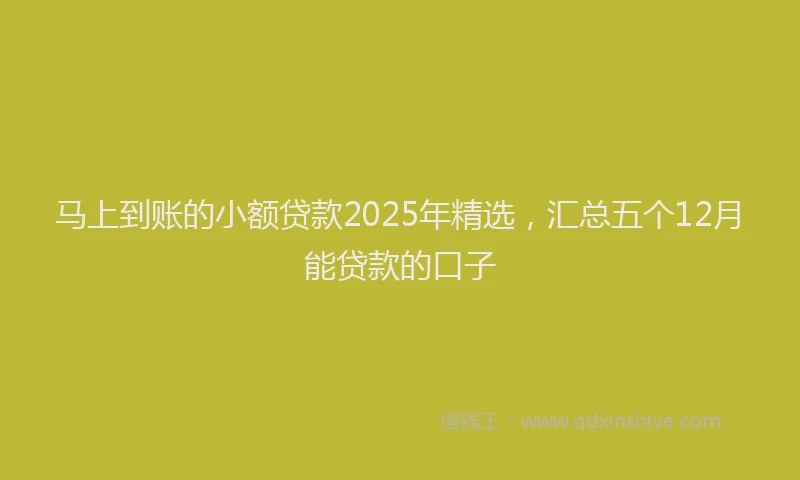 马上到账的小额贷款2025年精选，汇总五个12月能贷款的口子