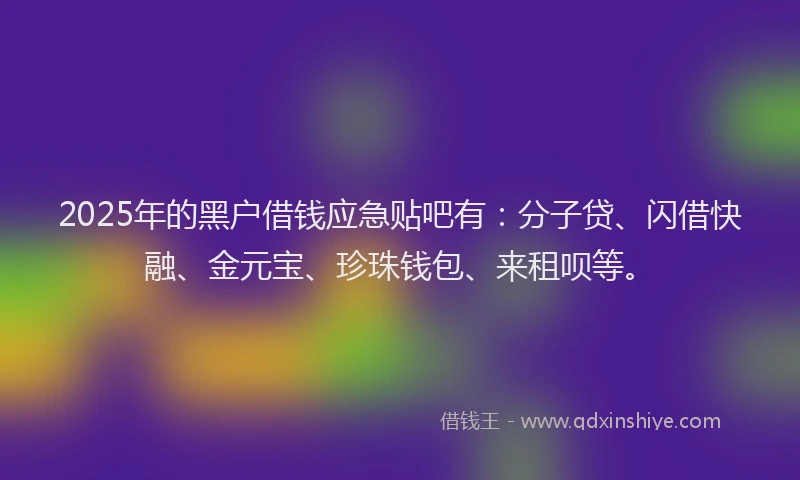 2025年的黑户借钱应急贴吧有：分子贷、闪借快融、金元宝、珍珠钱包、来租呗等。