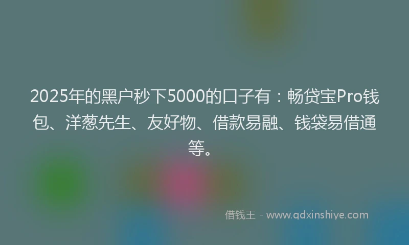 2025年的黑户秒下5000的口子有：畅贷宝Pro钱包、洋葱先生、友好物、借款易融、钱袋易借通等。