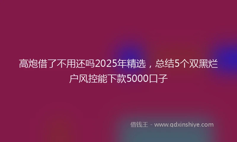 高炮借了不用还吗2025年精选，总结5个双黑烂户风控能下款5000口子
