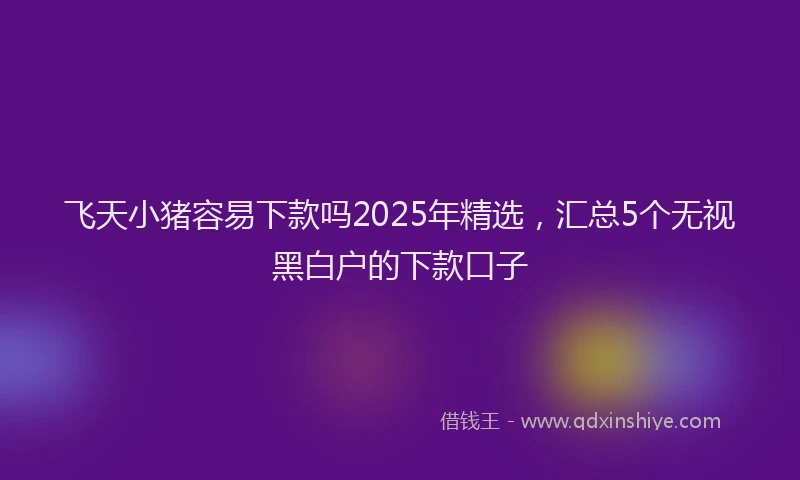 飞天小猪容易下款吗2025年精选，汇总5个无视黑白户的下款口子