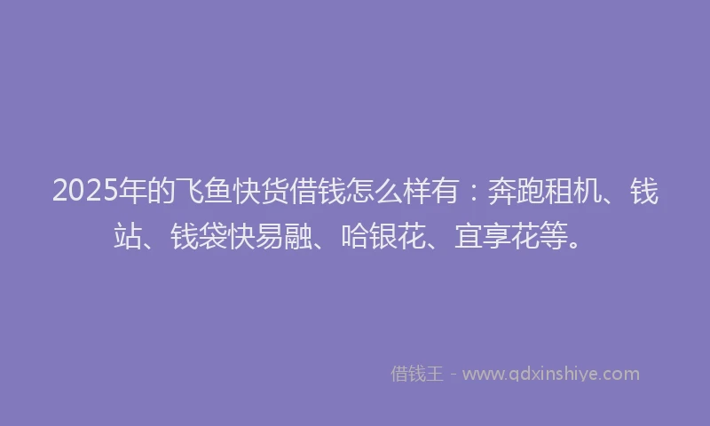 2025年的飞鱼快货借钱怎么样有：奔跑租机、钱站、钱袋快易融、哈银花、宜享花等。