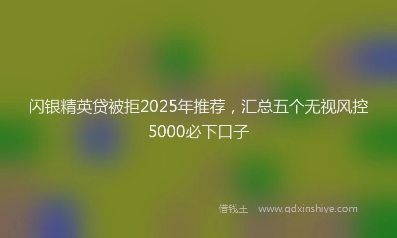 闪银精英贷被拒2025年推荐，汇总五个无视风控5000必下口子