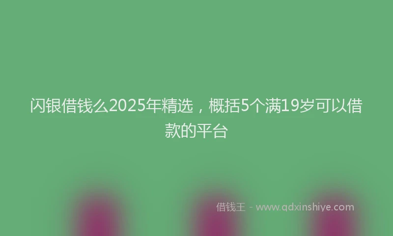 闪银借钱么2025年精选，概括5个满19岁可以借款的平台