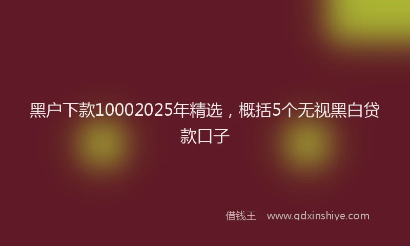 黑户下款10002025年精选，概括5个无视黑白贷款口子