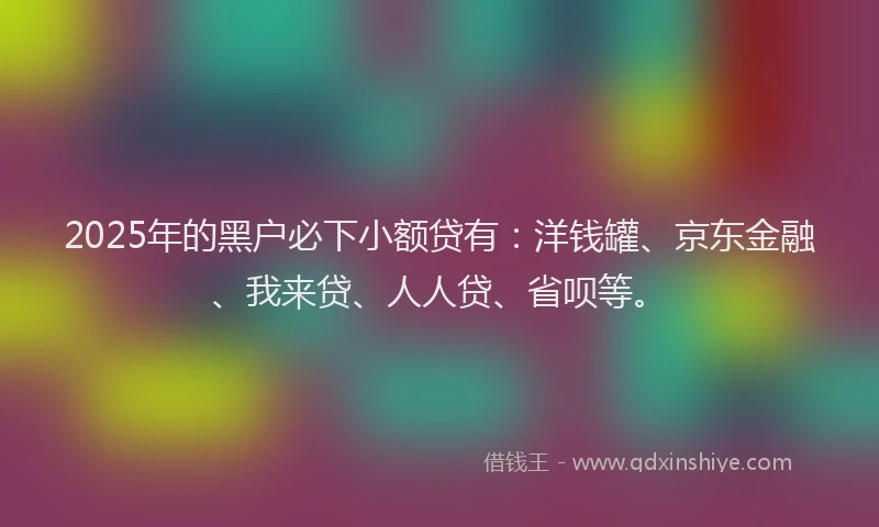 2025年的黑户必下小额贷有：洋钱罐、京东金融、我来贷、人人贷、省呗等。