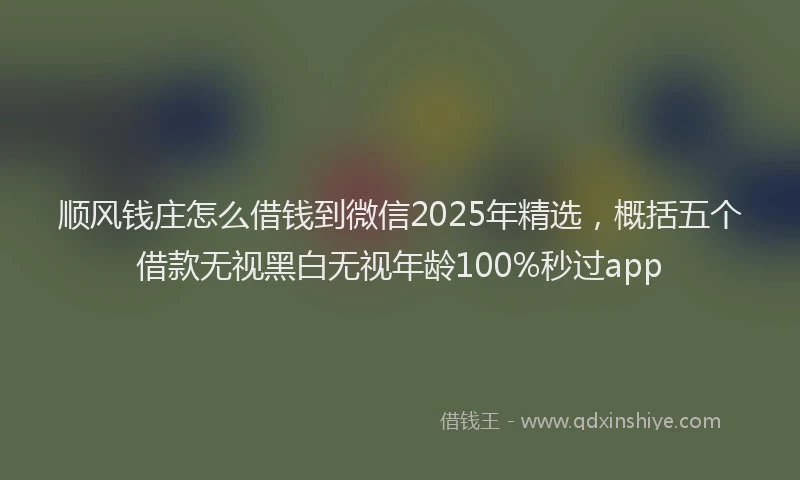 顺风钱庄怎么借钱到微信2025年精选，概括五个借款无视黑白无视年龄100%秒过app