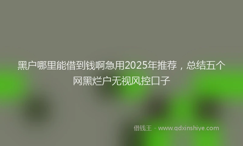黑户哪里能借到钱啊急用2025年推荐，总结五个网黑烂户无视风控口子