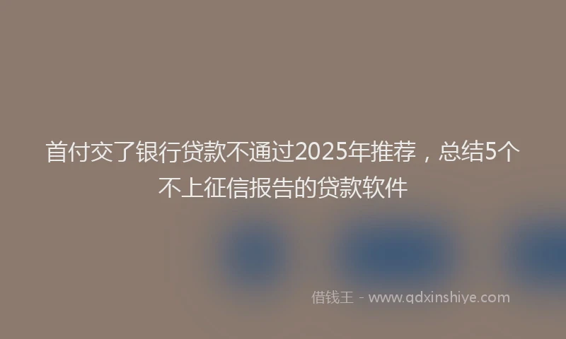 首付交了银行贷款不通过2025年推荐，总结5个不上征信报告的贷款软件