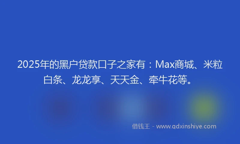 2025年的黑户贷款口子之家有：Max商城、米粒白条、龙龙享、天天金、牵牛花等。