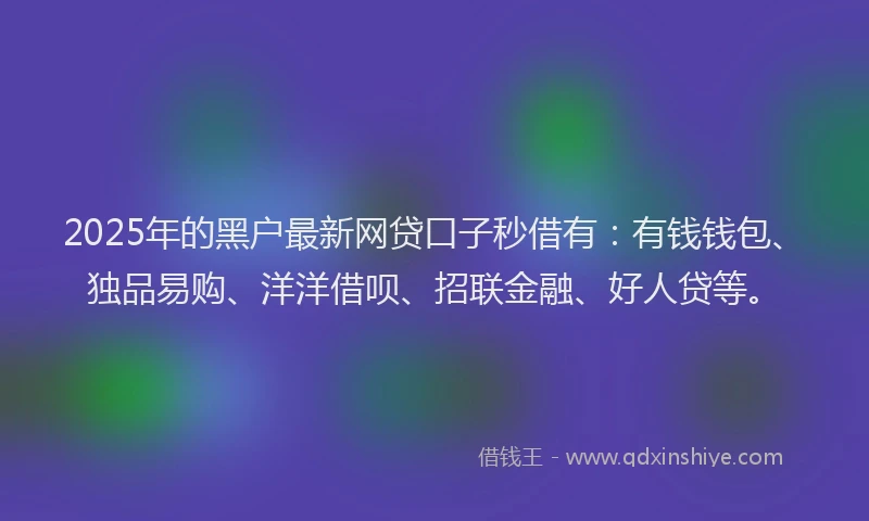 2025年的黑户最新网贷口子秒借有：有钱钱包、独品易购、洋洋借呗、招联金融、好人贷等。