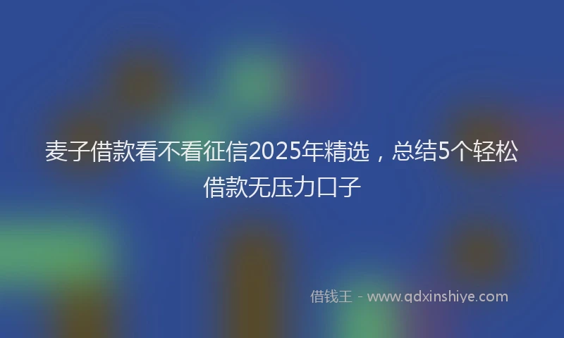 麦子借款看不看征信2025年精选，总结5个轻松借款无压力口子