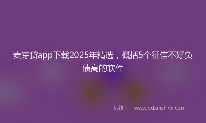 麦芽贷app下载2025年精选，概括5个征信不好负债高的软件