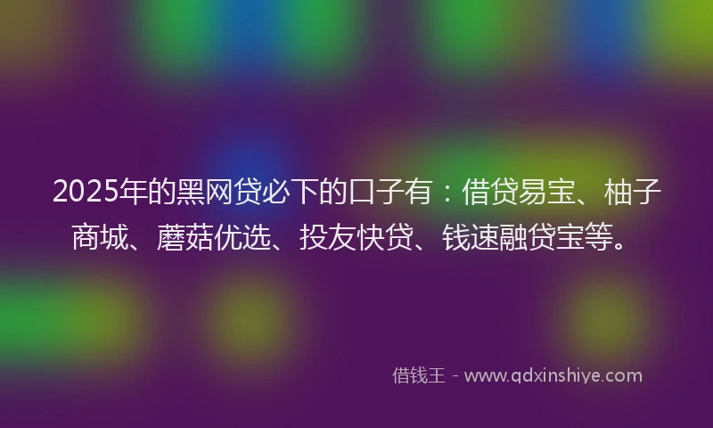 2025年的黑网贷必下的口子有：借贷易宝、柚子商城、蘑菇优选、投友快贷、钱速融贷宝等。