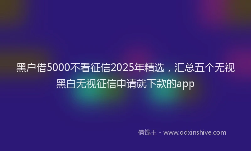 黑户借5000不看征信2025年精选，汇总五个无视黑白无视征信申请就下款的app