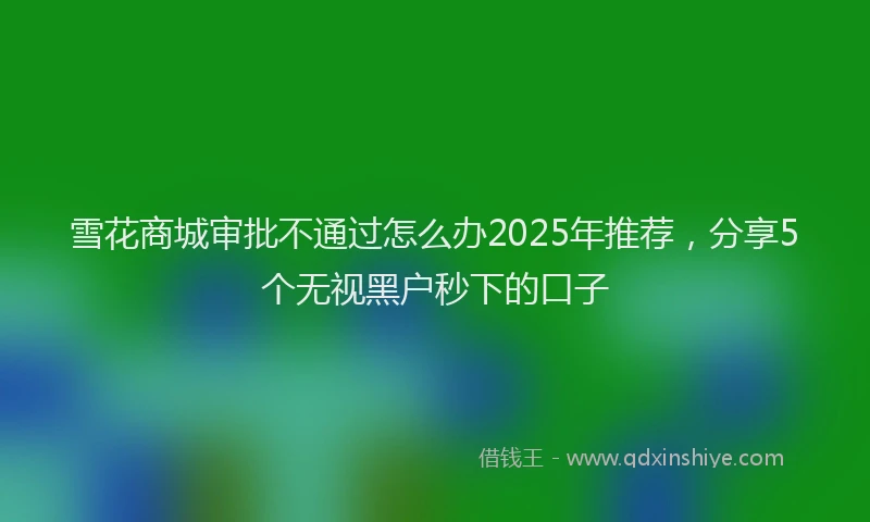 雪花商城审批不通过怎么办2025年推荐，分享5个无视黑户秒下的口子