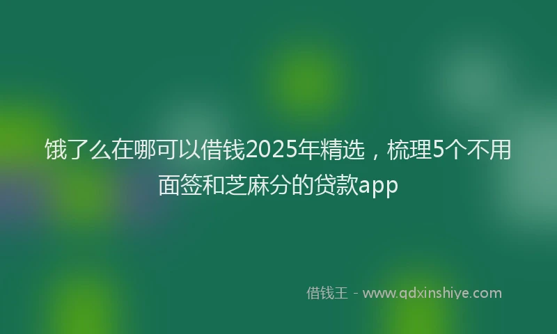 饿了么在哪可以借钱2025年精选，梳理5个不用面签和芝麻分的贷款app