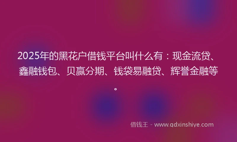 2025年的黑花户借钱平台叫什么有：现金流贷、鑫融钱包、贝赢分期、钱袋易融贷、辉誉金融等。