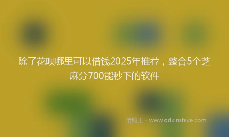除了花呗哪里可以借钱2025年推荐，整合5个芝麻分700能秒下的软件