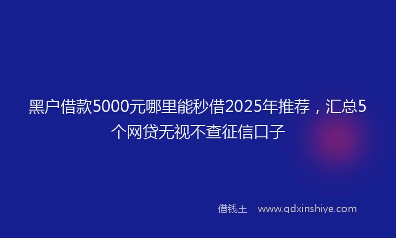 黑户借款5000元哪里能秒借2025年推荐，汇总5个网贷无视不查征信口子