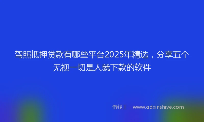 驾照抵押贷款有哪些平台2025年精选，分享五个无视一切是人就下款的软件