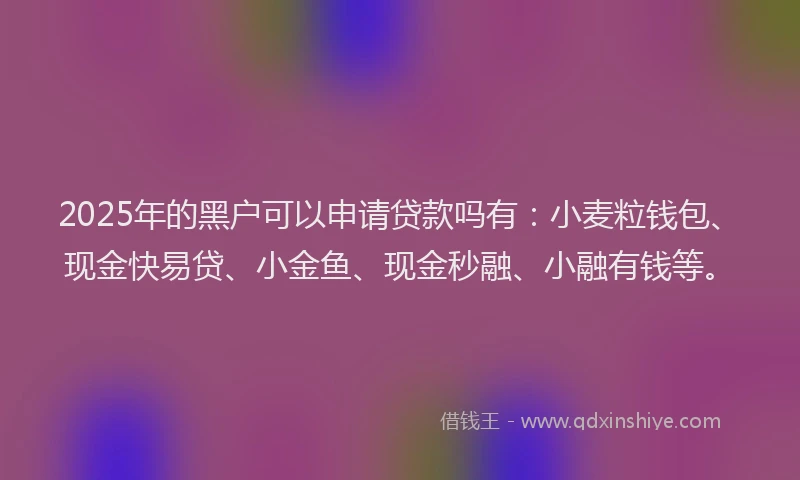 2025年的黑户可以申请贷款吗有：小麦粒钱包、现金快易贷、小金鱼、现金秒融、小融有钱等。