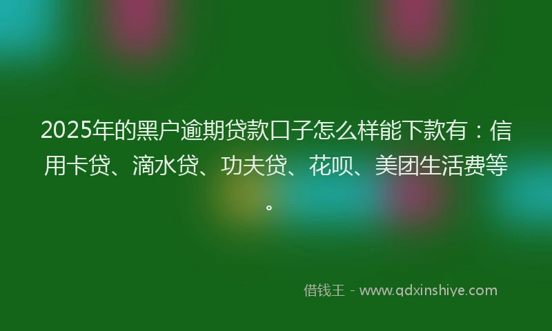 2025年的黑户逾期贷款口子怎么样能下款有：信用卡贷、滴水贷、功夫贷、花呗、美团生活费等。