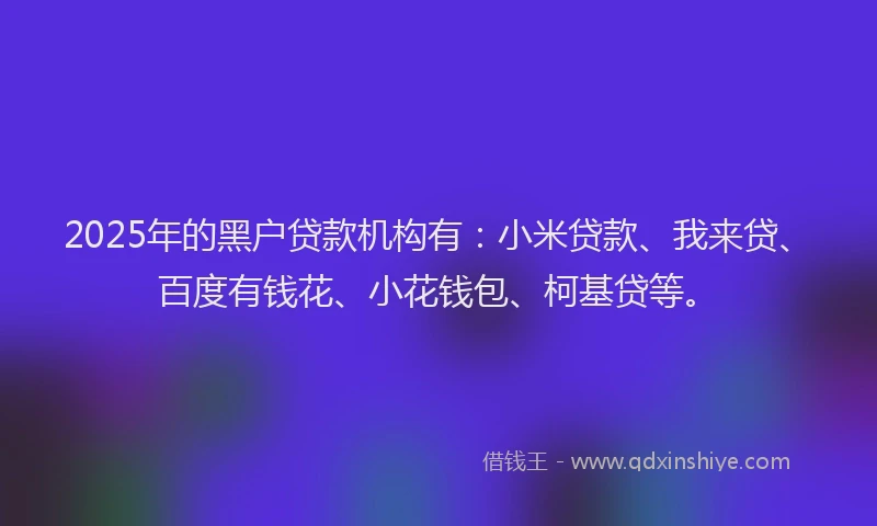 2025年的黑户贷款机构有：小米贷款、我来贷、百度有钱花、小花钱包、柯基贷等。