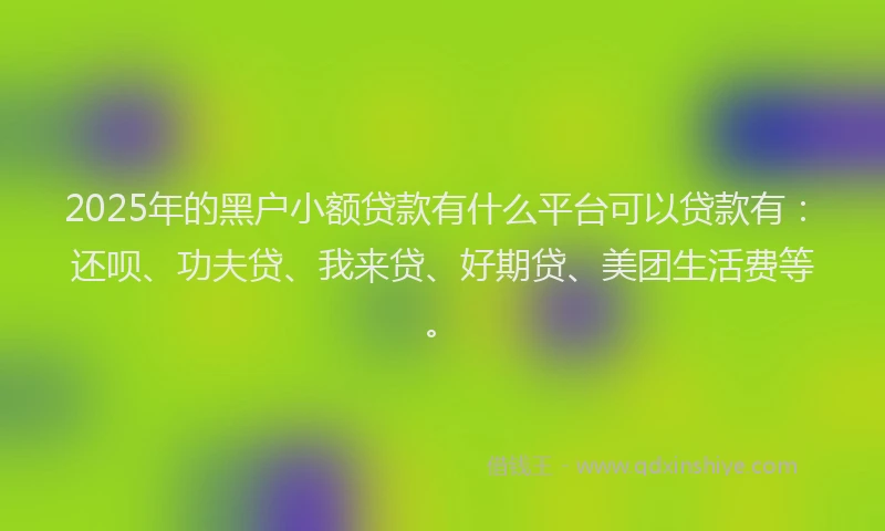 2025年的黑户小额贷款有什么平台可以贷款有：还呗、功夫贷、我来贷、好期贷、美团生活费等。