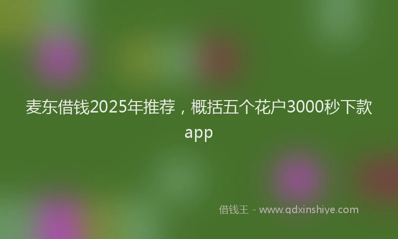 麦东借钱2025年推荐，概括五个花户3000秒下款app